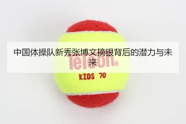 中国体操队新秀张博文摘银背后的潜力与未来（Yion）